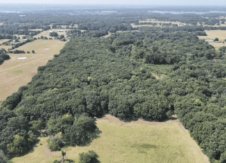 68± Acres Near Lake Bonham | Bonham, Texas