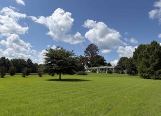ESTATE FOR SALE IN TN, 56 AC, DEER & TURKEY HUNTING, CREEK, FIELDS, BARN