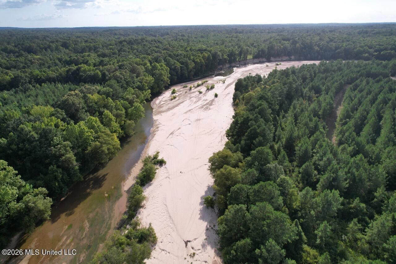 82± Acre Hunting Tract in Meadville, MS