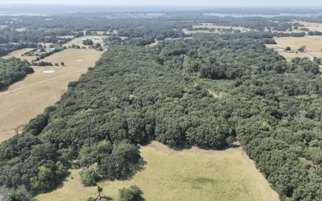 68± Acres Near Lake Bonham | Bonham, Texas