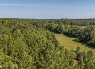 52.25± Acres in Copiah County, MS Near Hazlehurst