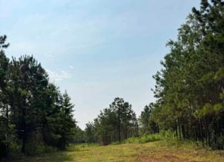 Discover an outstanding 130-acre recreational and hunting property in Stewart Cty