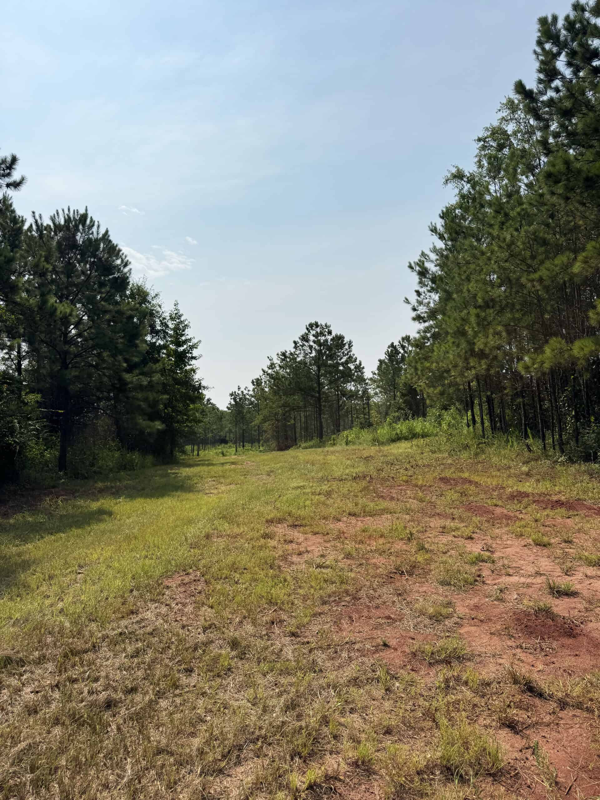 Discover an outstanding 130-acre recreational and hunting property in Stewart Cty