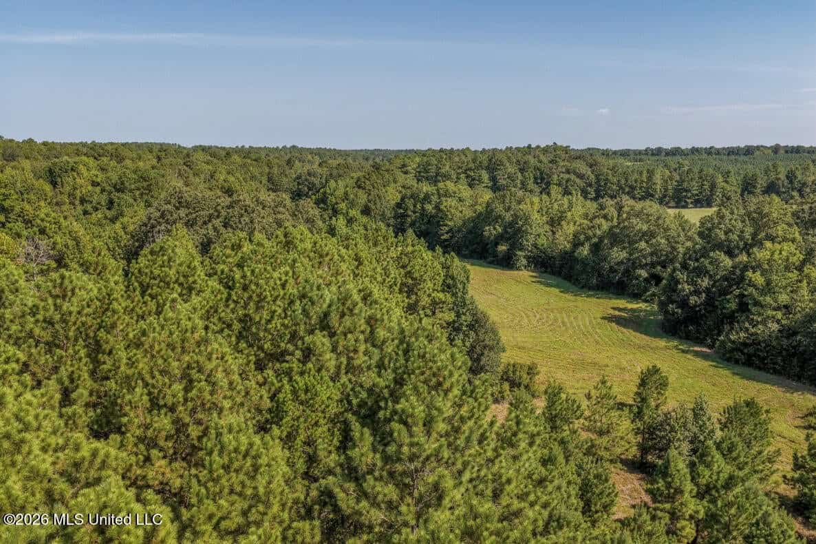 52.25± Acres in Copiah County, MS Near Hazlehurst