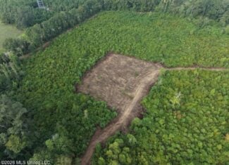 82± Acre Hunting Property in Wilkinson County, MS
