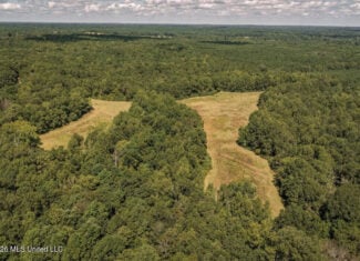 HWY 49 Land for Sale Simpson County, MS