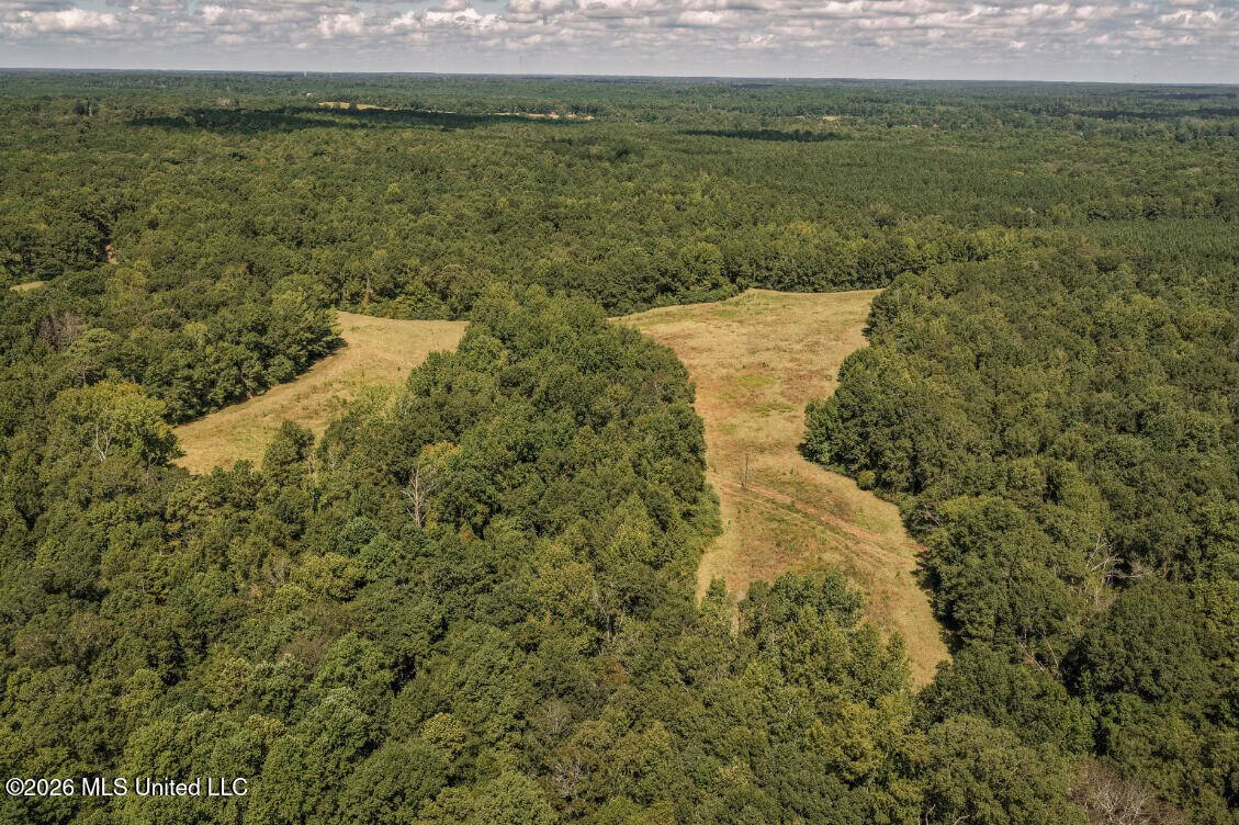HWY 49 Land for Sale Simpson County, MS