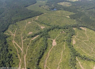 147± Acre Hunting Property in Plainview, LA