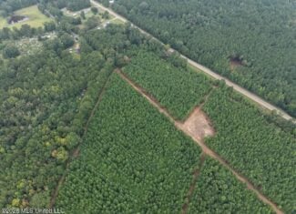 53± Acre Hunting Property Near Centreville, MS