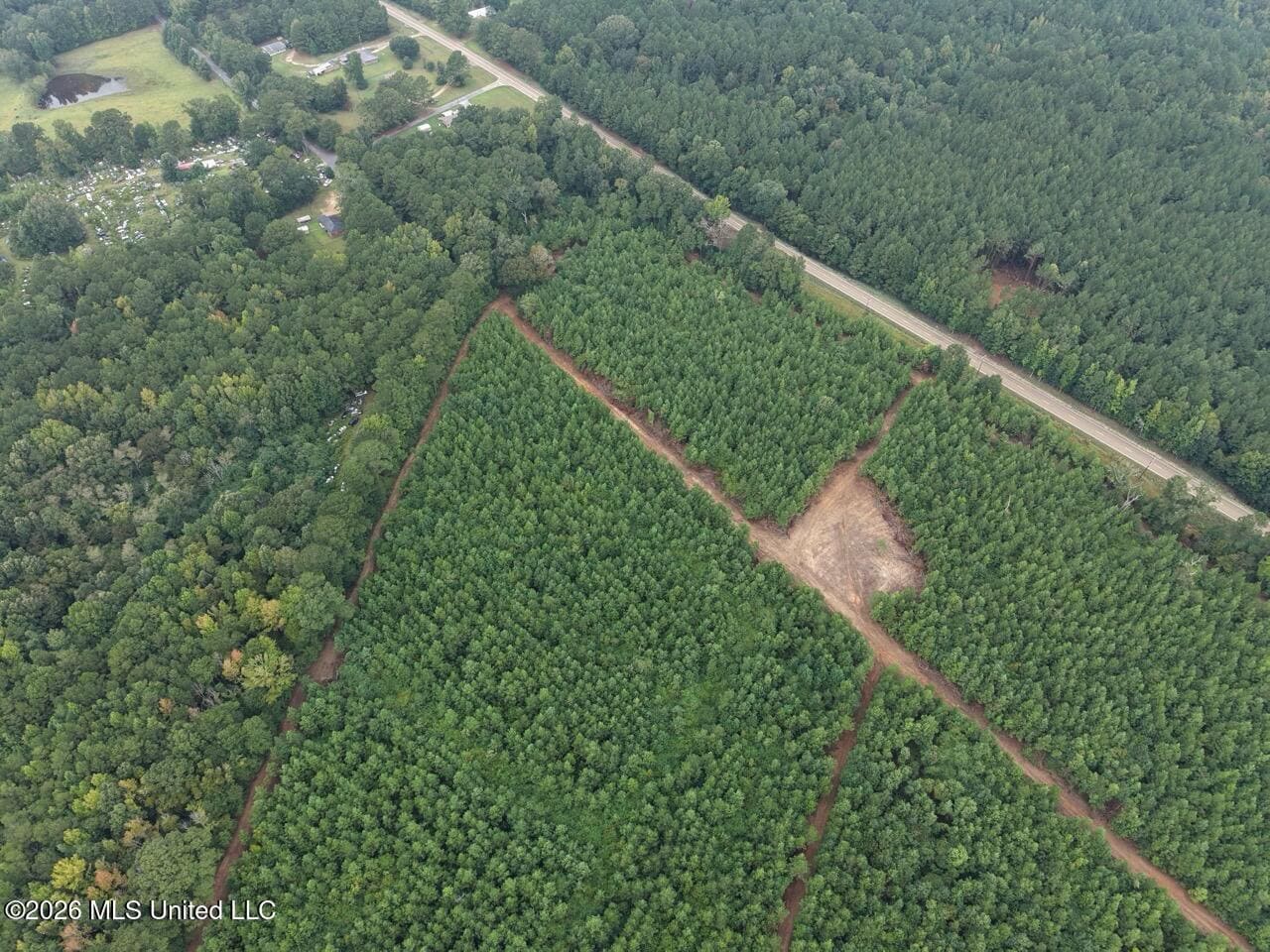 53± Acre Hunting Property Near Centreville, MS
