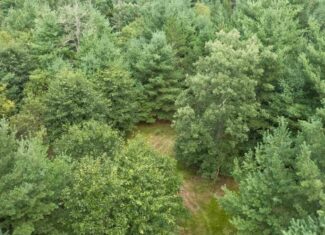 Rare opportunity to own 17.54 wooded acres within the City of Adams