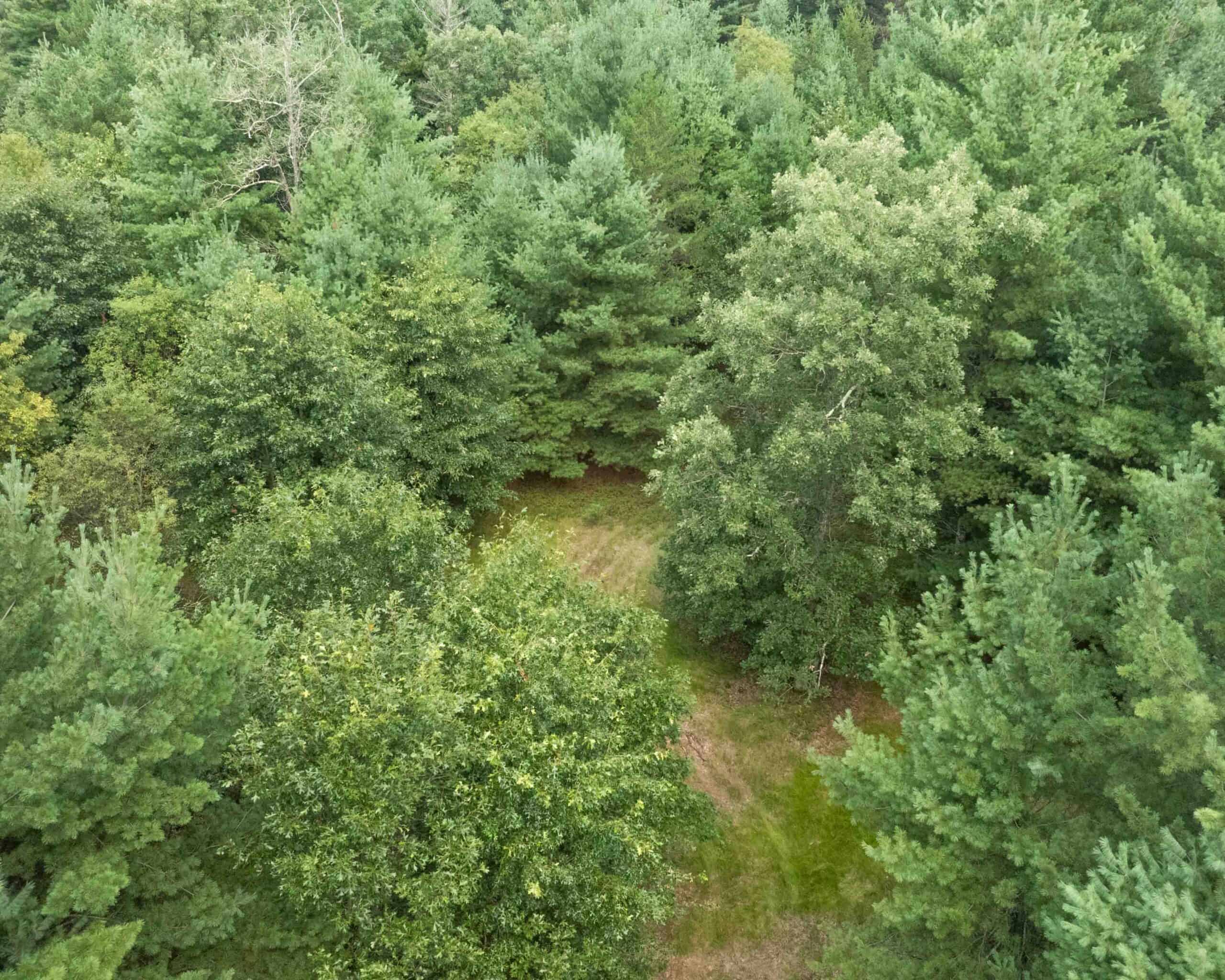 Rare opportunity to own 17.54 wooded acres within the City of Adams