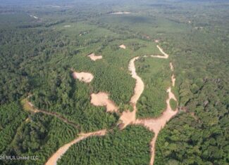 90± Acre Hunting Tract for Sale in Meadville, MS