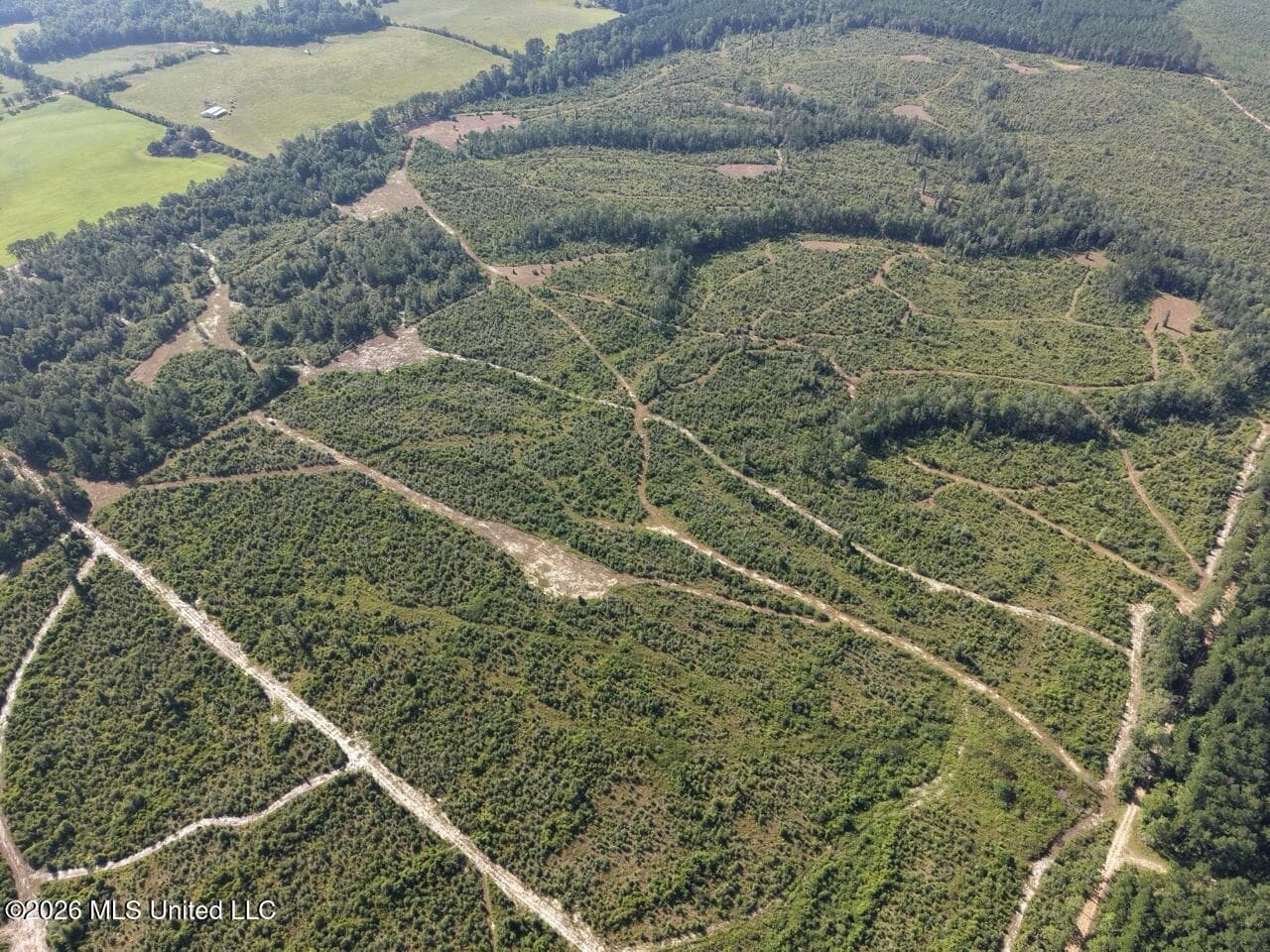 50± Acre Homesite & Hunting Land in Plainview, LA