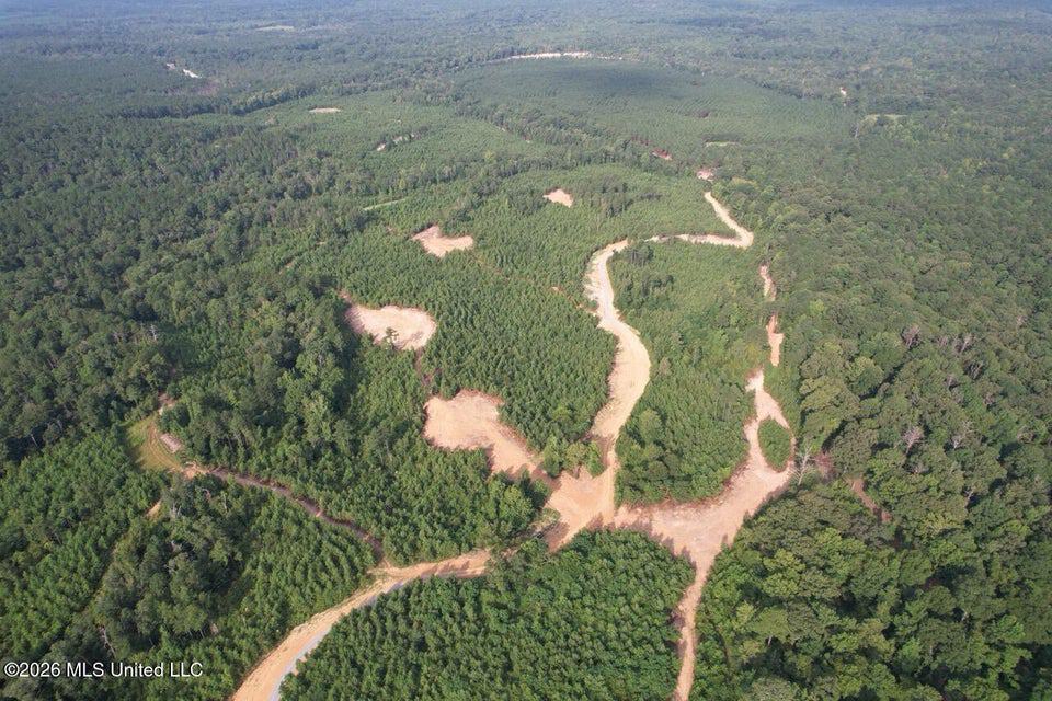 90± Acre Hunting Tract for Sale in Meadville, MS