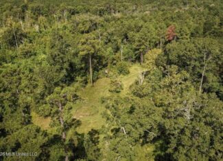 150 Acres for Sale in Magnolia MS on Tangipahoa River