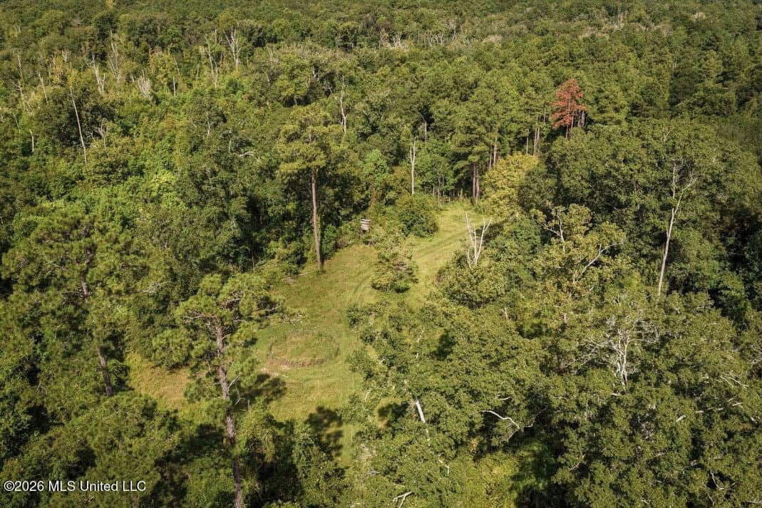 150 Acres for Sale in Magnolia MS on Tangipahoa River