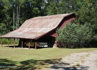20 Acres for Sale Magnolia MS with Barn & Mature Timber