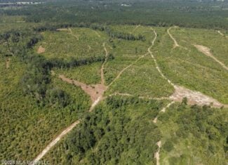 42± Acre Homesite & Hunting Land in Plainview, LA
