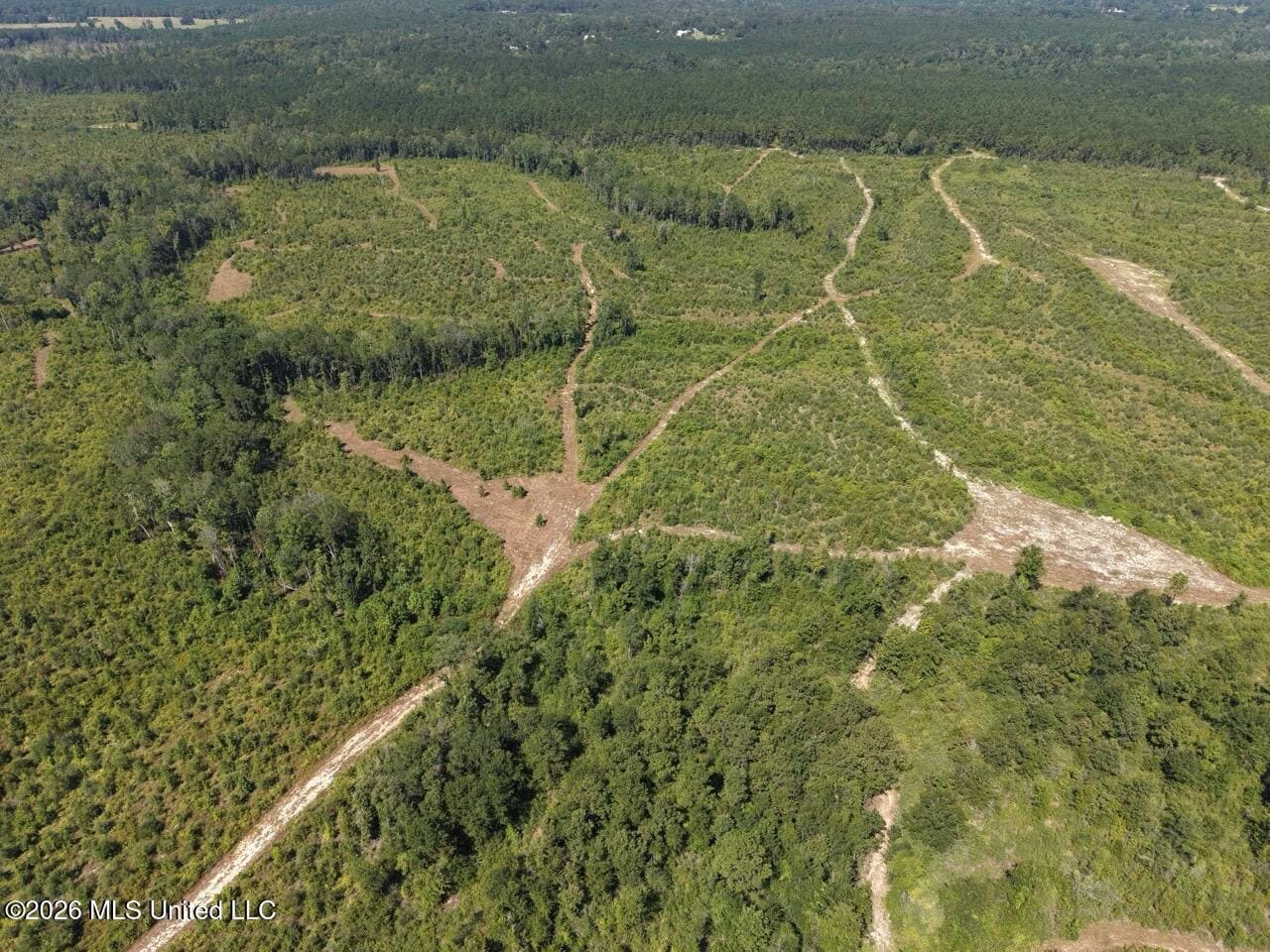 42± Acre Homesite & Hunting Land in Plainview, LA