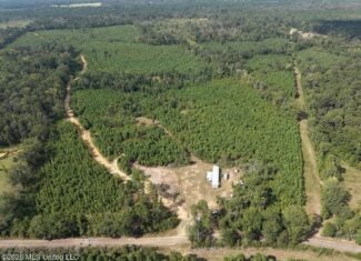 85± Acre Turnkey Hunting Property in Amite County, MS