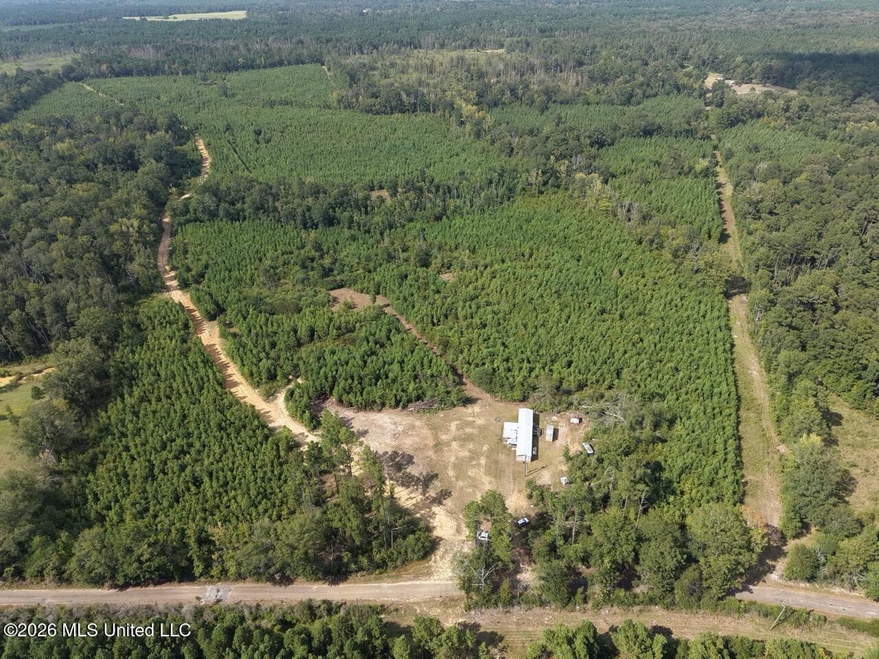 85± Acre Turnkey Hunting Property in Amite County, MS