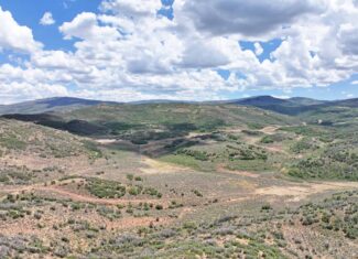 35 Acres Borders Public Land near Collbran, CO