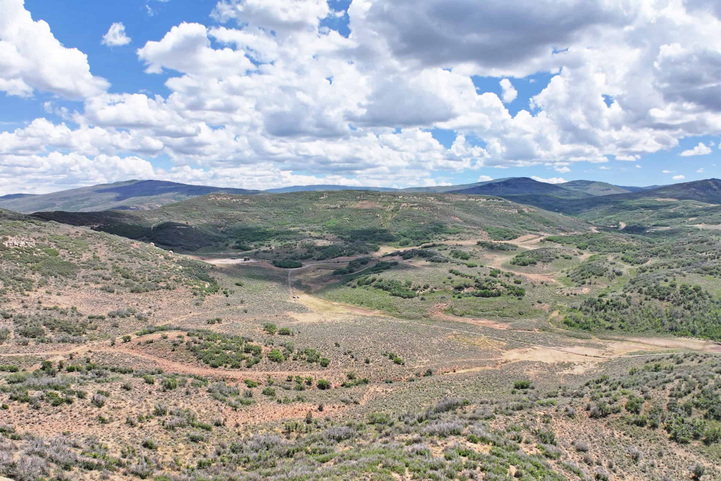 35 Acres Borders Public Land near Collbran, CO