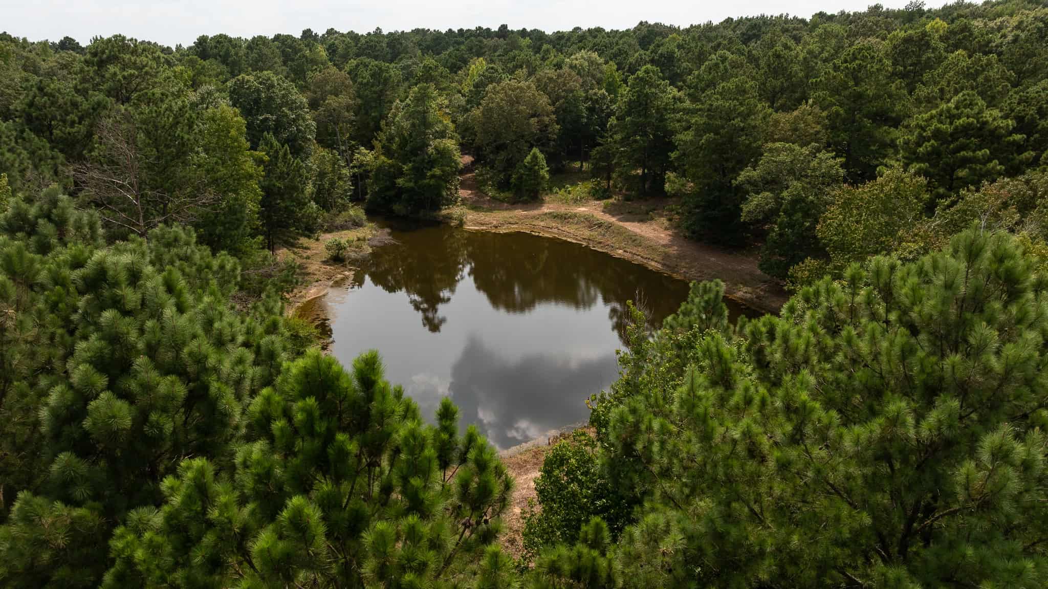 East Texas Hunting & Timber Land for Sale in Smith County
