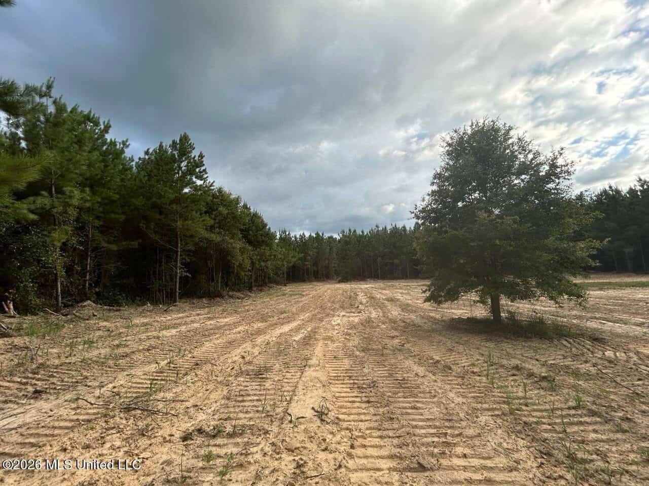 82± Acre Hunting Tract in Meadville, MS