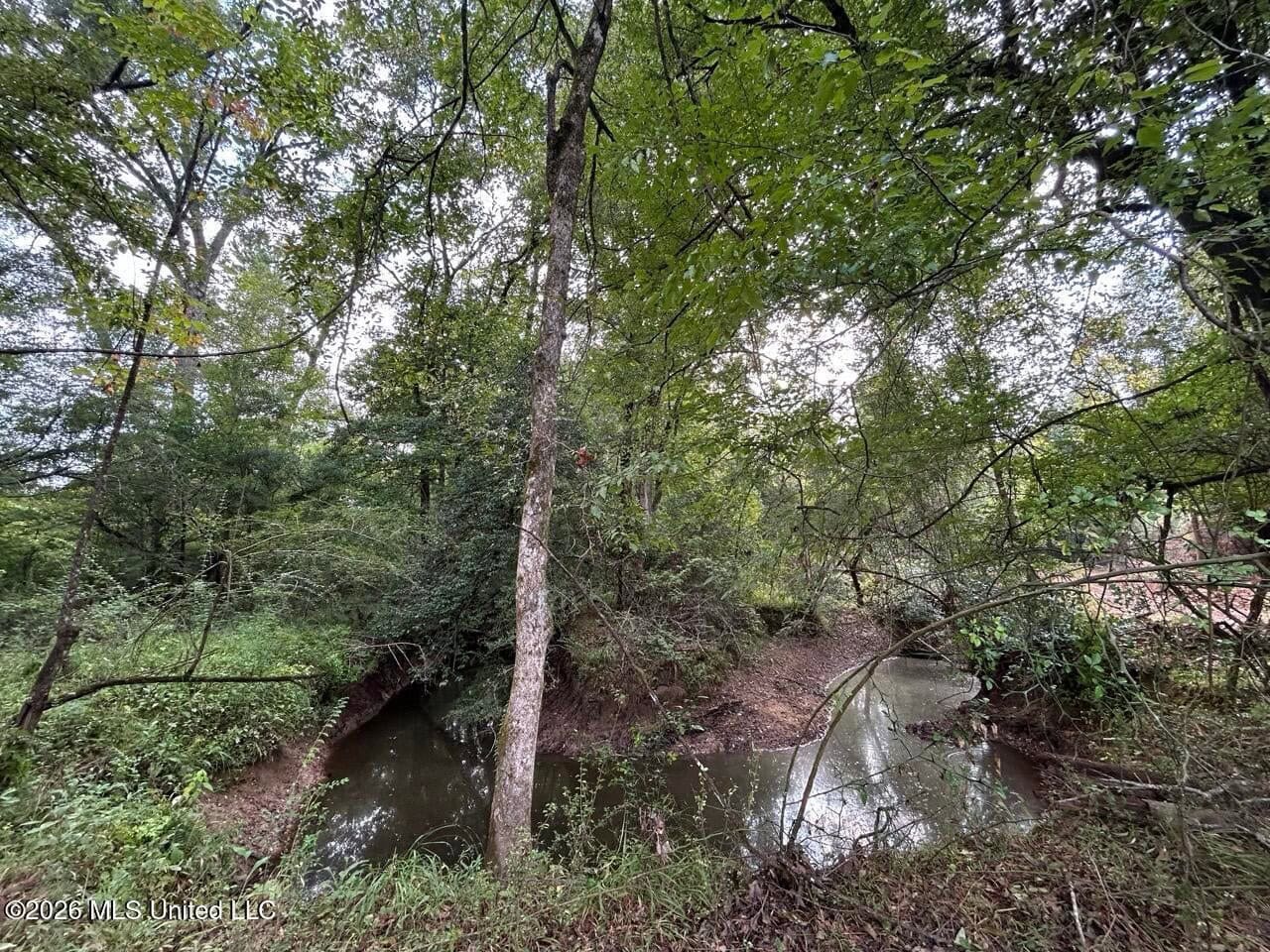 82± Acre Hunting Property in Wilkinson County, MS