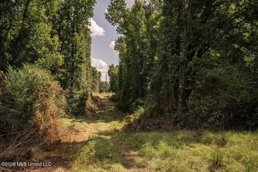 HWY 49 Land for Sale Simpson County, MS