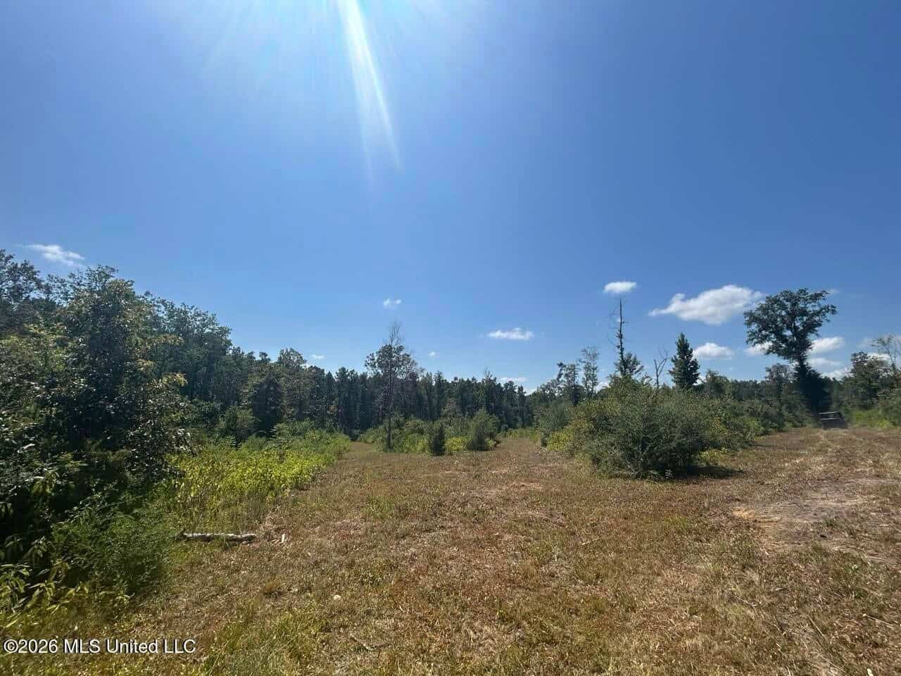 147± Acre Hunting Property in Plainview, LA