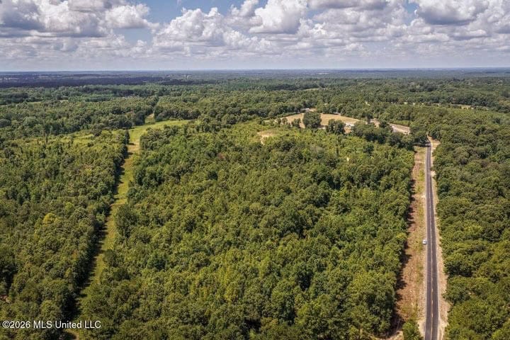 31 Acres for Sale Near Collins MS | Mature Timber & Hunting