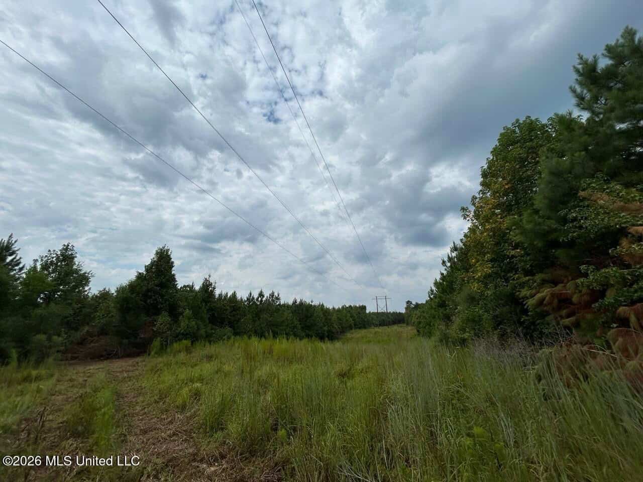 53± Acre Hunting Property Near Centreville, MS