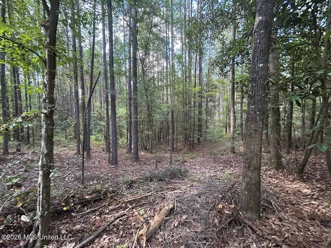 FRANKLIN COUNTY LAND FOR SALE NEAR McCALL CREEK