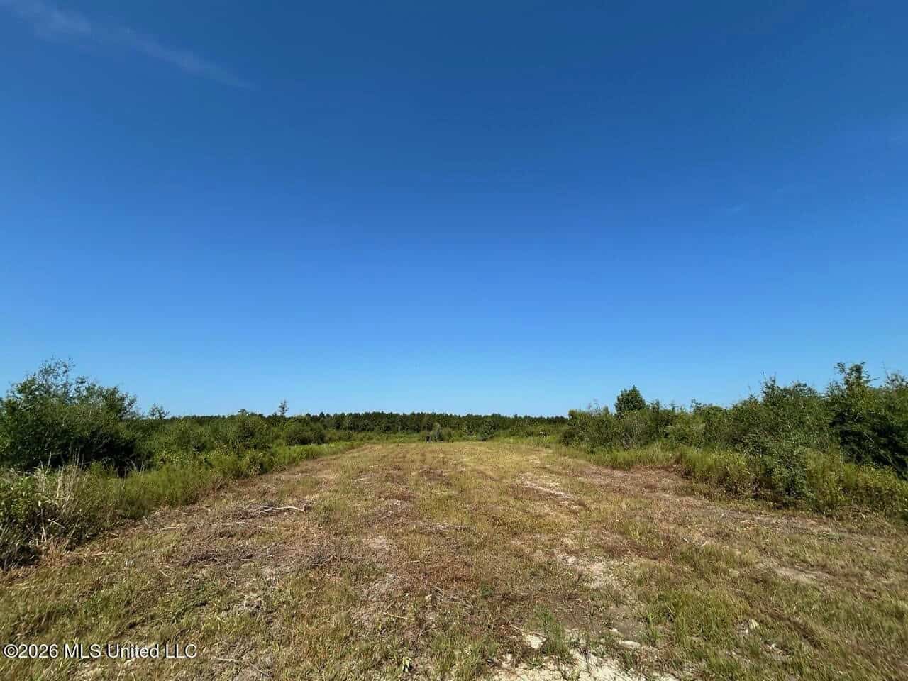 50± Acre Homesite & Hunting Land in Plainview, LA