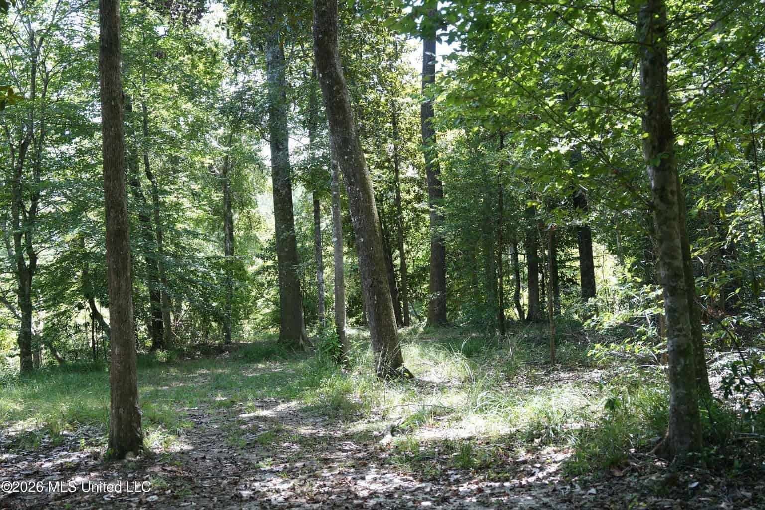 150 Acres for Sale in Magnolia MS on Tangipahoa River