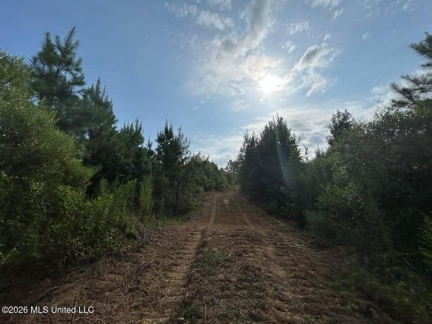90± Acre Hunting Tract for Sale in Meadville, MS