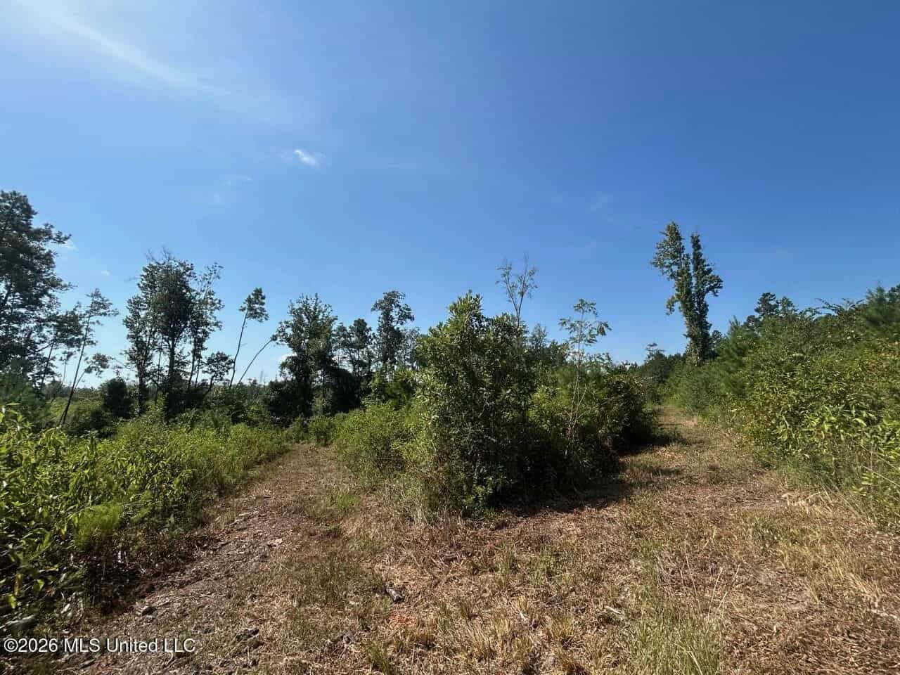 42± Acre Homesite & Hunting Land in Plainview, LA
