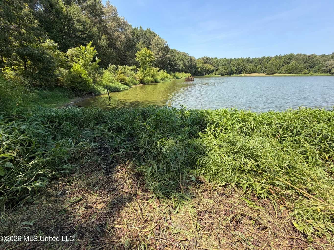 81-Acre Timber Property on 20-Acre Lake in Vaughan, MS