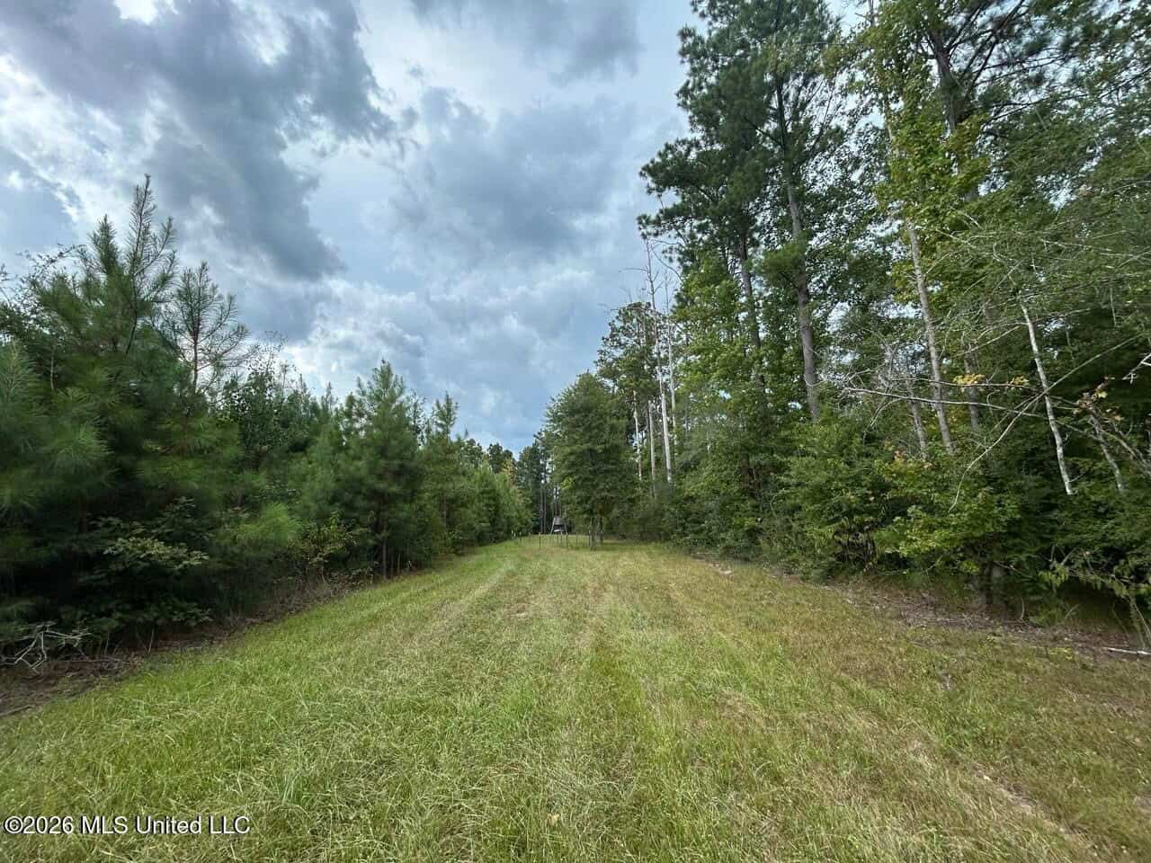 85± Acre Turnkey Hunting Property in Amite County, MS