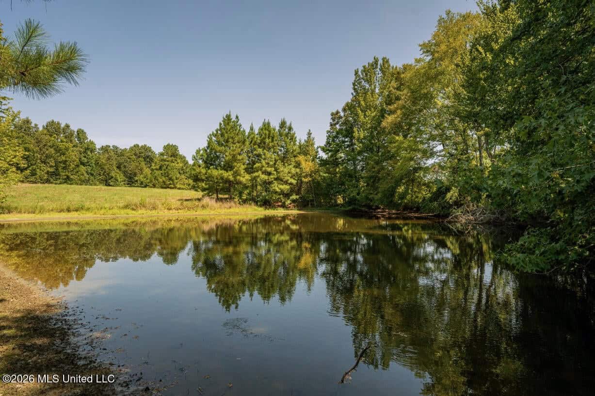 52.25± Acres in Copiah County, MS Near Hazlehurst