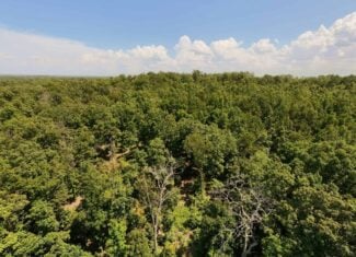 000 County Road 127, Alton, Missouri