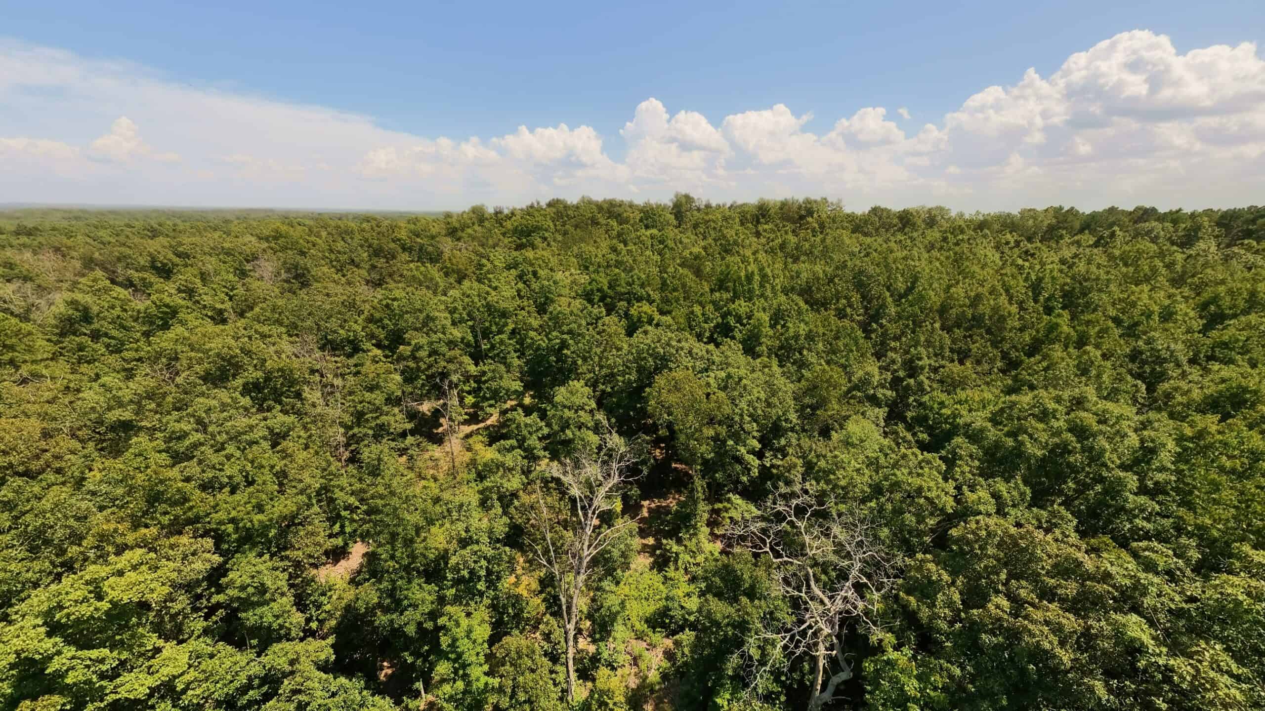 000 County Road 127, Alton, Missouri