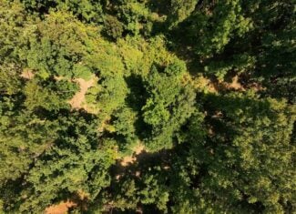000 County Road 127, Alton, Missouri