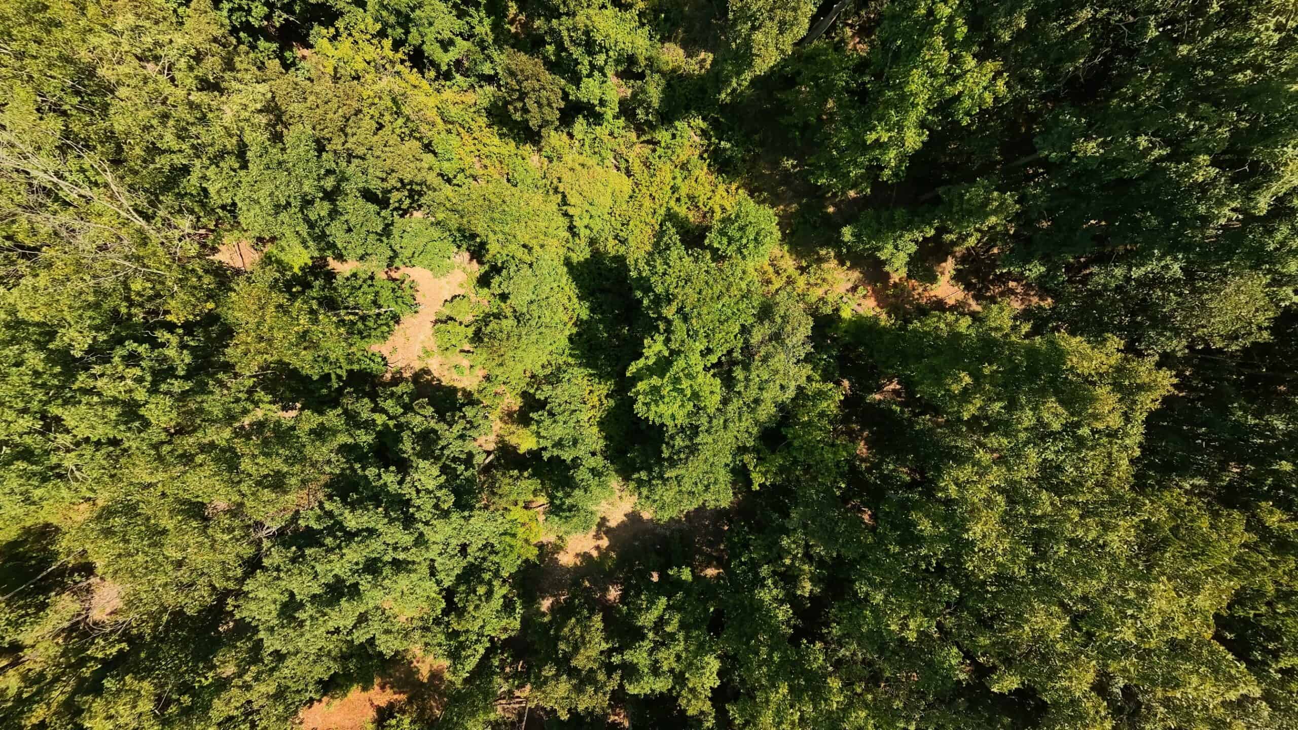 000 County Road 127, Alton, Missouri