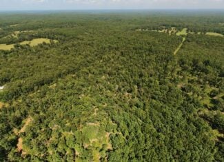 000 County Road 127, Alton, Missouri