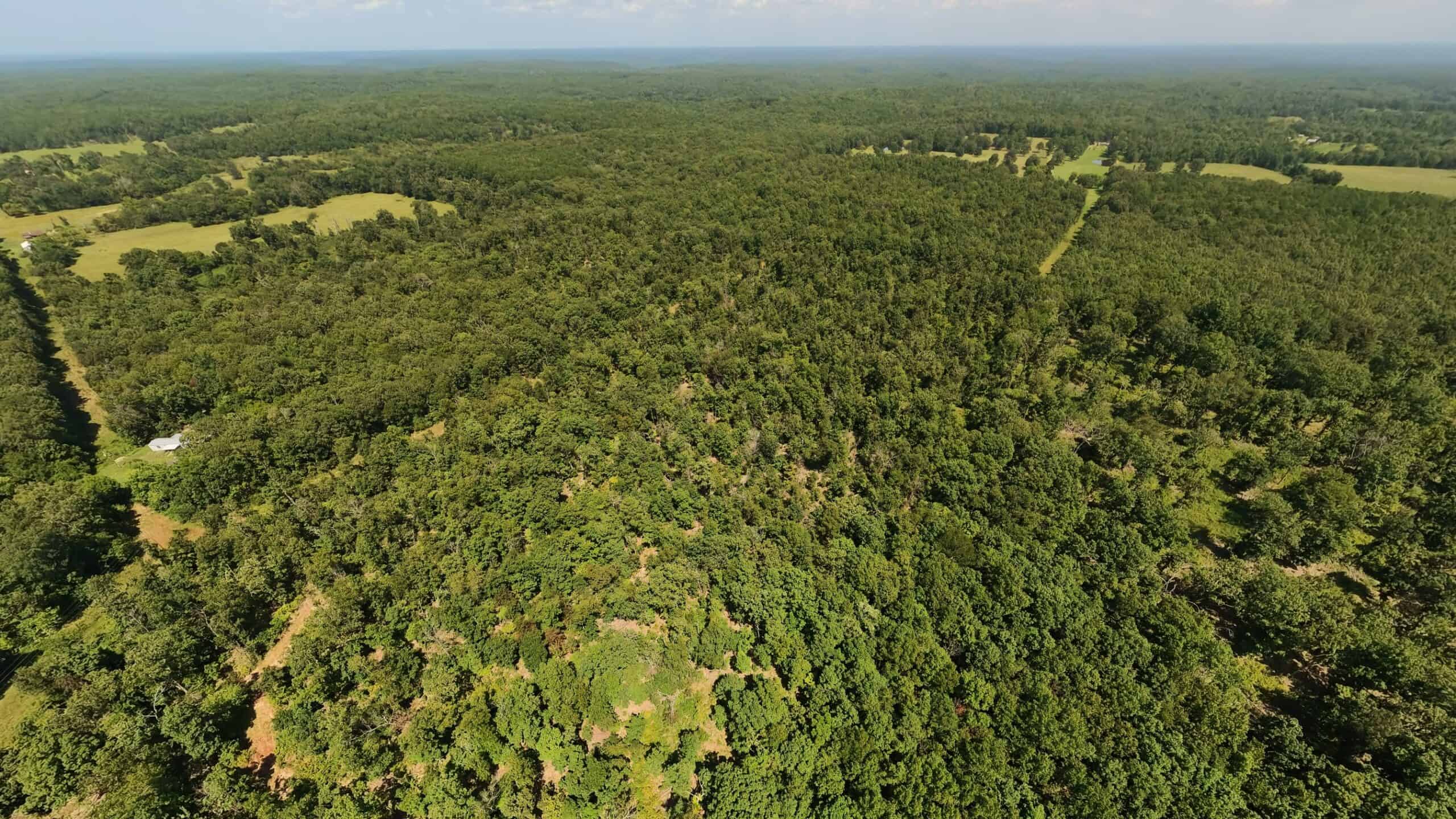 000 County Road 127, Alton, Missouri