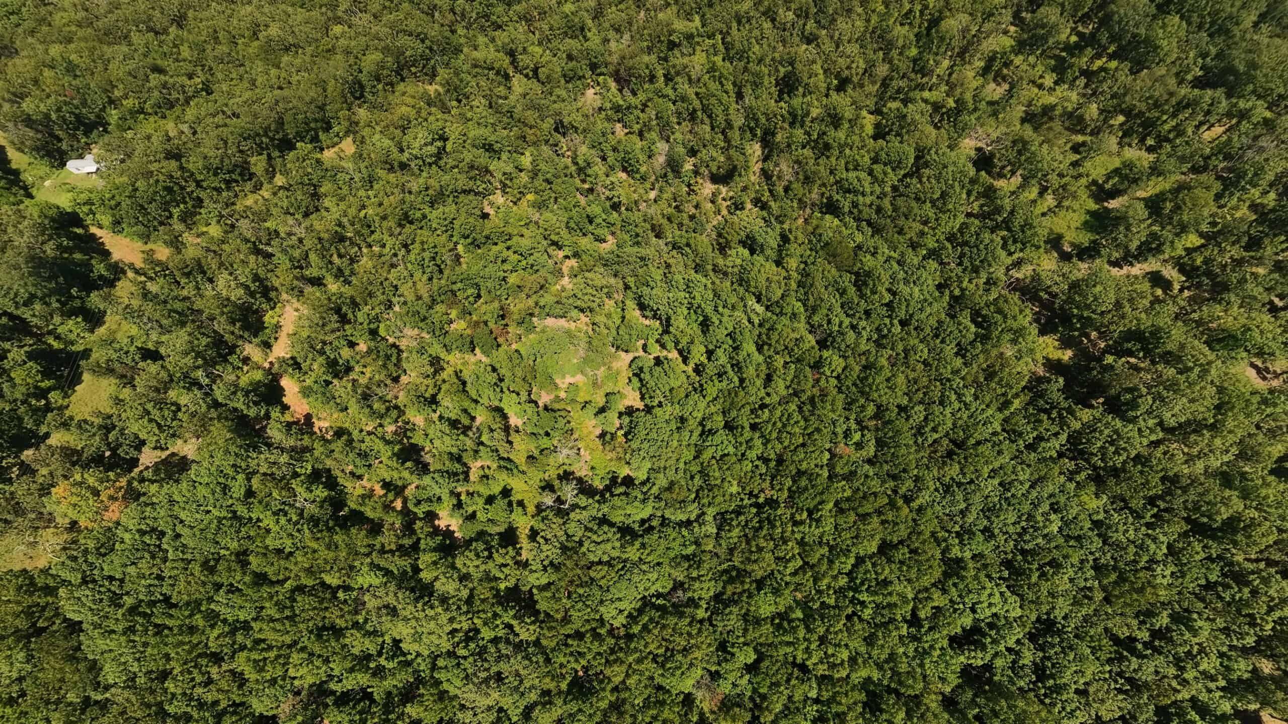000 County Road 127, Alton, Missouri